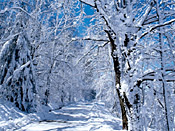 Winter in Vermont